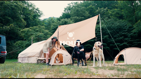 두둠 포트폴리오 - 씨투클로버 반려동물 제품 브랜드 HOUT 홍보 영상