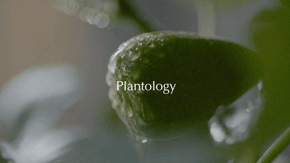 두둠 포트폴리오 - PLANTOLGY 자연주의 화장품 기업 브랜드 필름