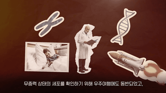 두둠 포트폴리오 - 헬라세포 인포그래픽 콜라주 영상