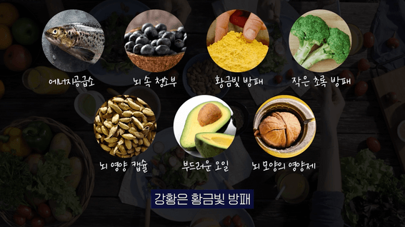 두둠 포트폴리오 - 치매예방 정보전달 모션그래픽 유튜브 영상